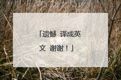 遗憾 译成英文 谢谢！
