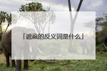 遮蔽的反义词是什么