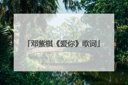 邓紫棋《爱你》歌词