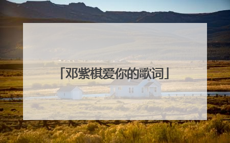 邓紫棋爱你的歌词