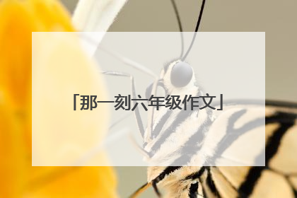 那一刻六年级作文