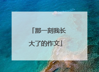 那一刻我长大了的作文