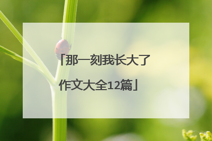 那一刻我长大了作文大全12篇