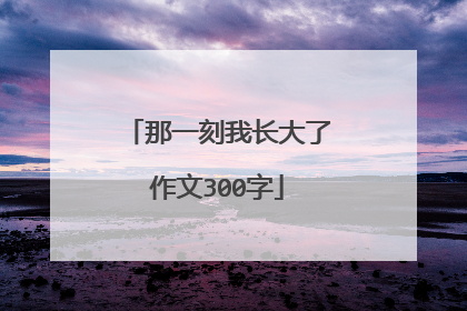 那一刻我长大了作文300字