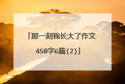 那一刻我长大了作文450字6篇(2)