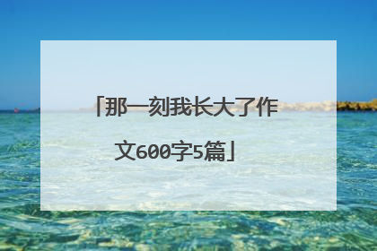 那一刻我长大了作文600字5篇
