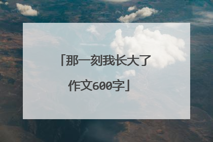 那一刻我长大了作文600字