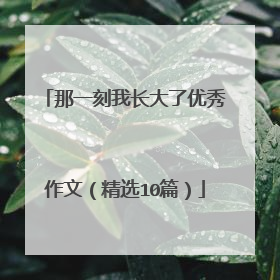 那一刻我长大了优秀作文(精选10篇)
