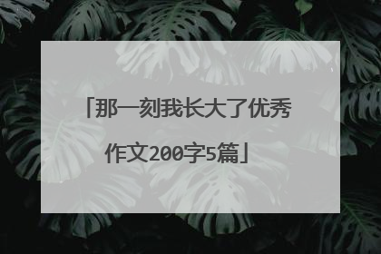 那一刻我长大了优秀作文200字5篇