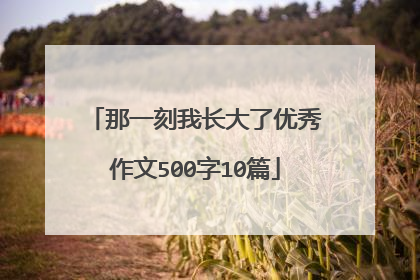 那一刻我长大了优秀作文500字10篇