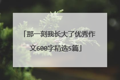 那一刻我长大了优秀作文600字精选5篇