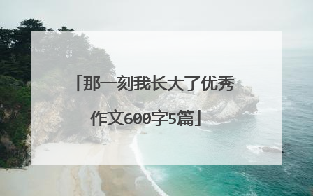 那一刻我长大了优秀作文600字5篇