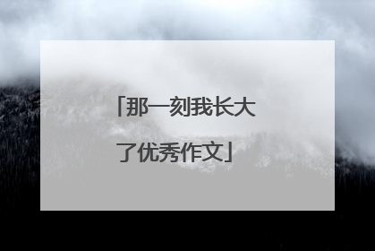 那一刻我长大了优秀作文