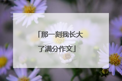 那一刻我长大了满分作文