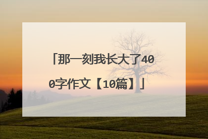 那一刻我长大了400字作文【10篇】