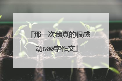 那一次我真的很感动600字作文