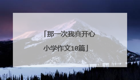 那一次我真开心小学作文10篇