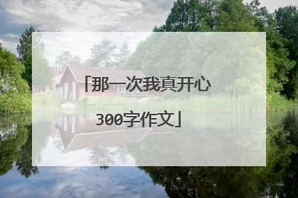 那一次我真开心300字作文