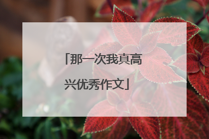那一次我真高兴优秀作文