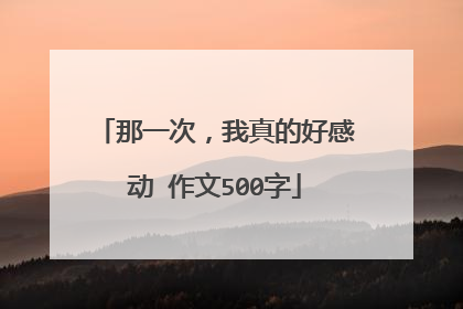 那一次,我真的好感动 作文500字