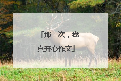 那一次，我真开心作文