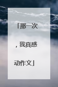 那一次,我真感动作文