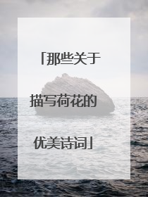 那些关于描写荷花的优美诗词