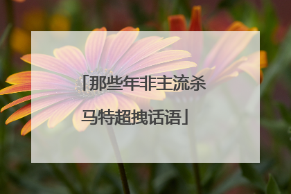 那些年非主流杀马特超拽话语