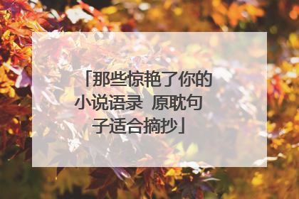 那些惊艳了你的小说语录 原耽句子适合摘抄