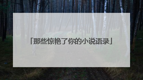 那些惊艳了你的小说语录