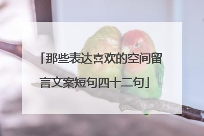 那些表达喜欢的空间留言文案短句四十二句