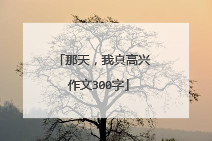 那天，我真高兴作文300字
