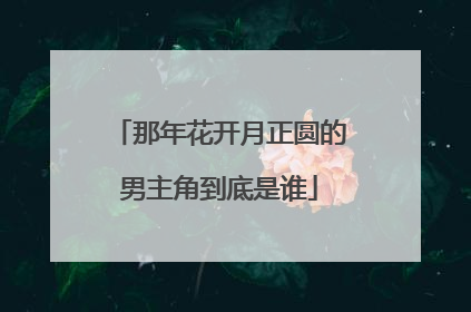 那年花开月正圆的男主角到底是谁