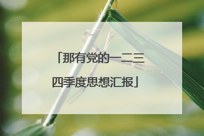 那有党的一二三四季度思想汇报