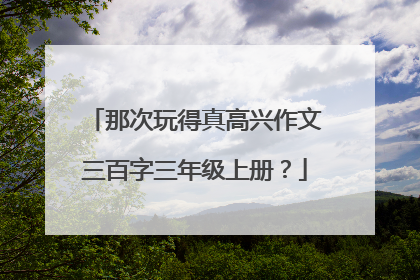 那次玩得真高兴作文三百字三年级上册?