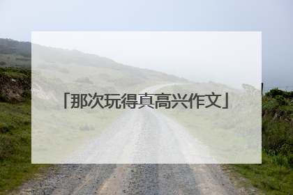 那次玩得真高兴作文