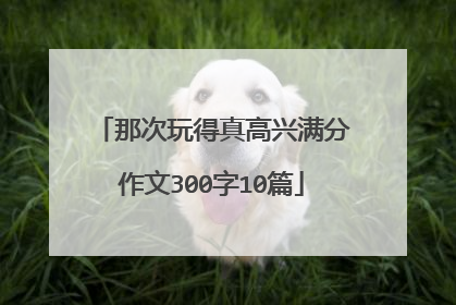 那次玩得真高兴满分作文300字10篇