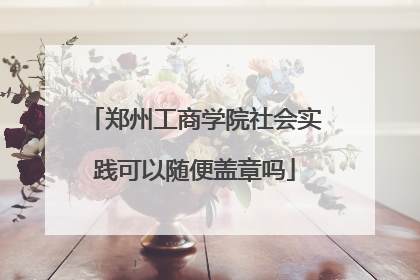 郑州工商学院社会实践可以随便盖章吗