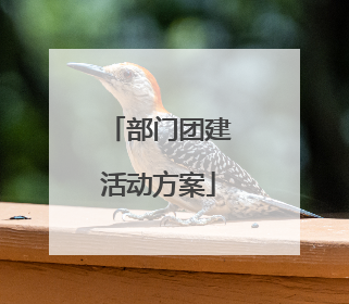 部门团建活动方案