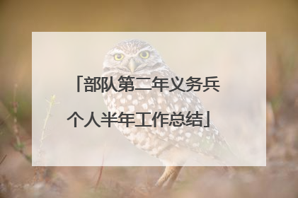 部队第二年义务兵个人半年工作总结