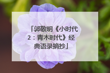 郭敬明《小时代2：青木时代》经典语录摘抄