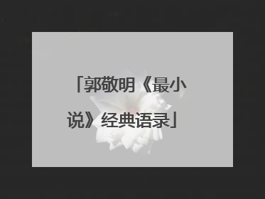 郭敬明《最小说》经典语录