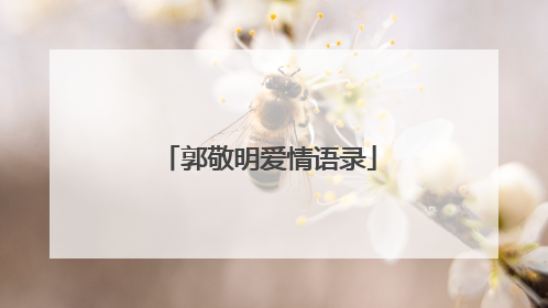 郭敬明爱情语录