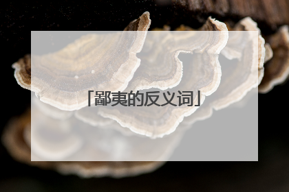 鄙夷的反义词