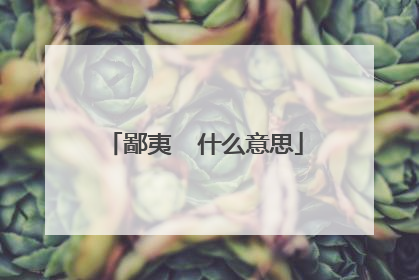 鄙夷 什么意思