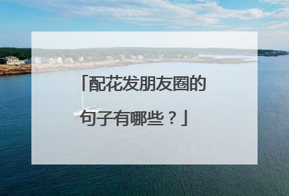 配花发朋友圈的句子有哪些?