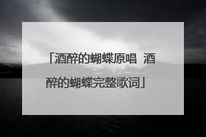 酒醉的蝴蝶原唱 酒醉的蝴蝶完整歌词