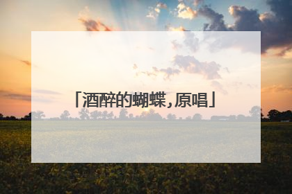 酒醉的蝴蝶,原唱