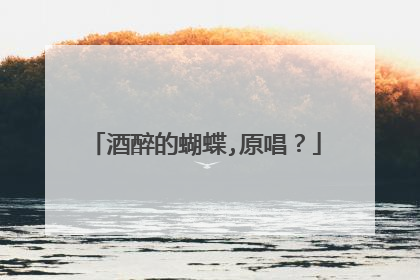 酒醉的蝴蝶,原唱？