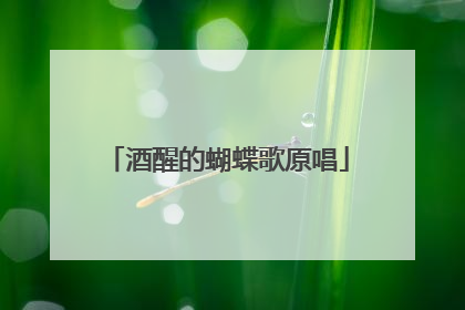 酒醒的蝴蝶歌原唱